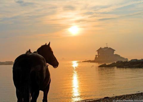 Atlantic Haven Bed & Breakfast Panzió Sligo Kültér fotó